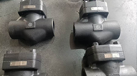 A105 Forged Globe Valve, Check Valve & Safety Valve Supply Project for Peru Petrochemical Thermal Pipeline
